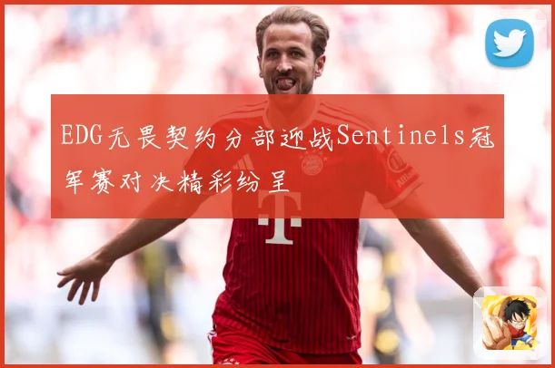 EDG无畏契约分部迎战Sentinels冠军赛对决精彩纷呈