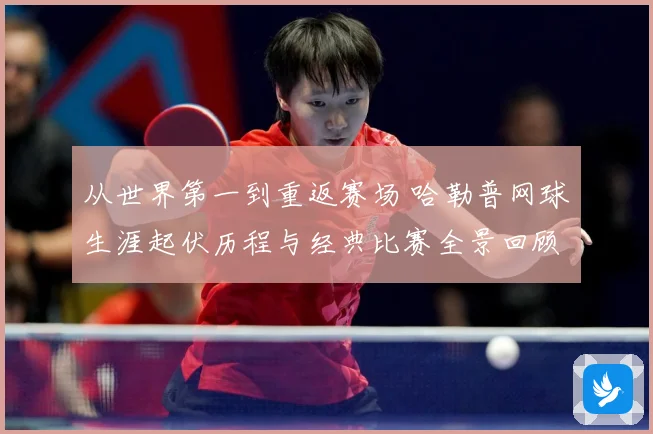 从世界第一到重返赛场 哈勒普网球生涯起伏历程与经典比赛全景回顾