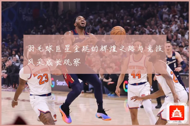 羽毛球巨星金廷的辉煌之路与竞技风采成长观察