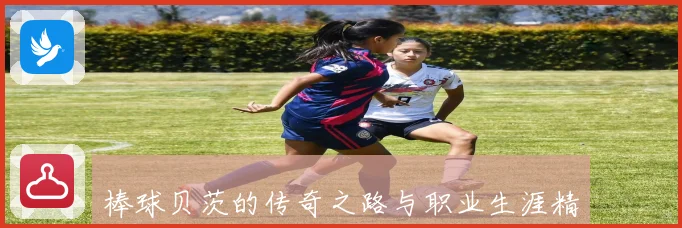 棒球贝茨的传奇之路与职业生涯精彩瞬间全记录