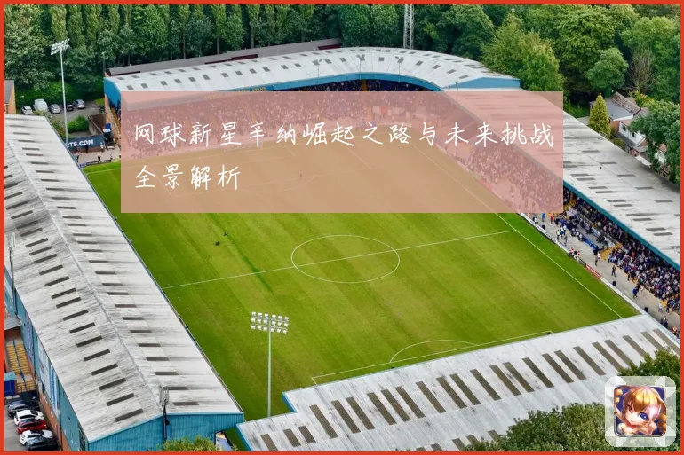 网球新星辛纳崛起之路与未来挑战全景解析